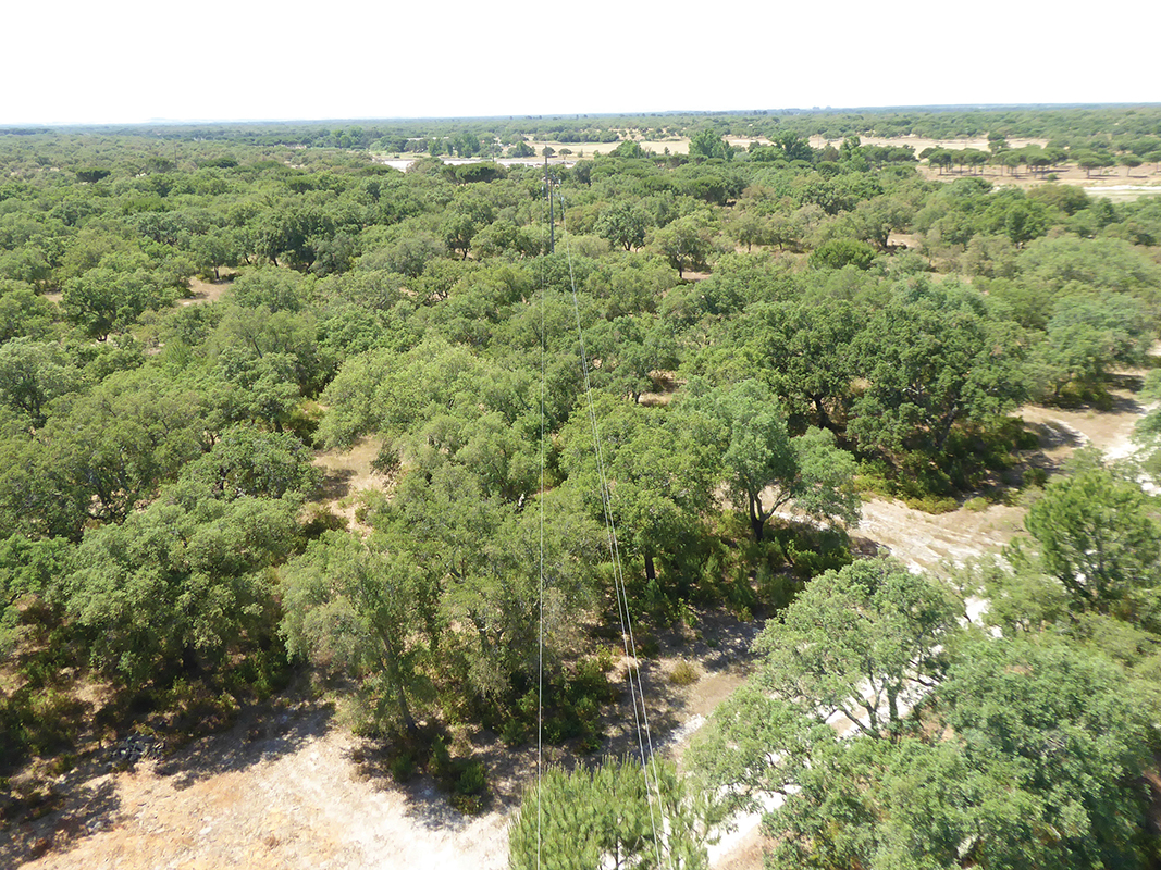 EDP Distribui&ccedil;&atilde;o, UAVs, overhead inspection