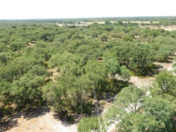 EDP Distribuição, UAVs, overhead inspection EDP Distribuição, UAVs, overhead inspection
