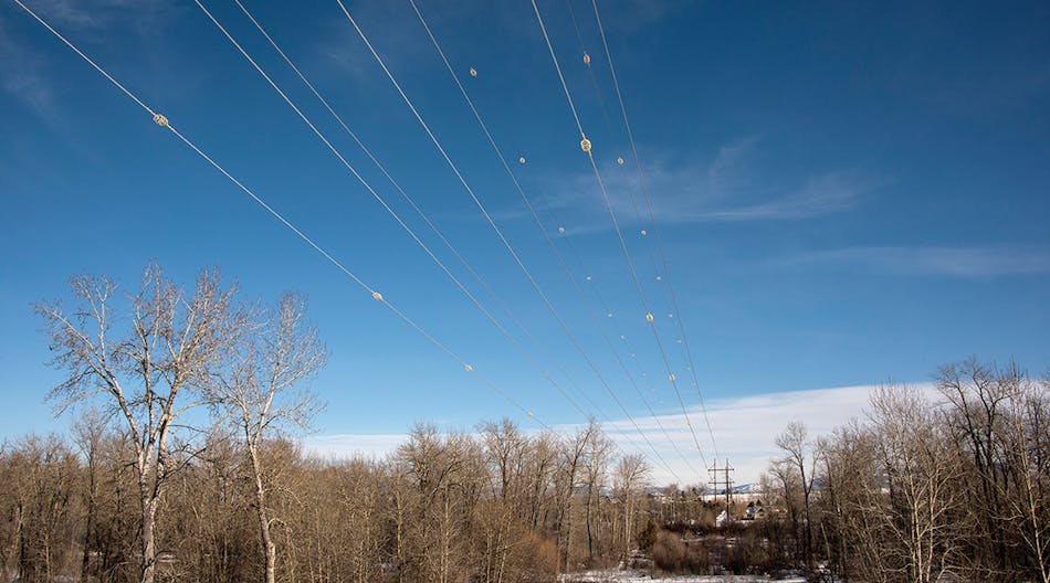 Diverters increase visibility of power lines across the Gallatin River in Montana, reducing the likelihood of bird collisions. Photos by Susan Malee, NorthWestern Energy.