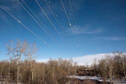 NorthWestern Energy, bird protection NorthWestern Energy, bird protection