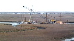 Work on the Tidal Marsh Work on the Tidal Marsh