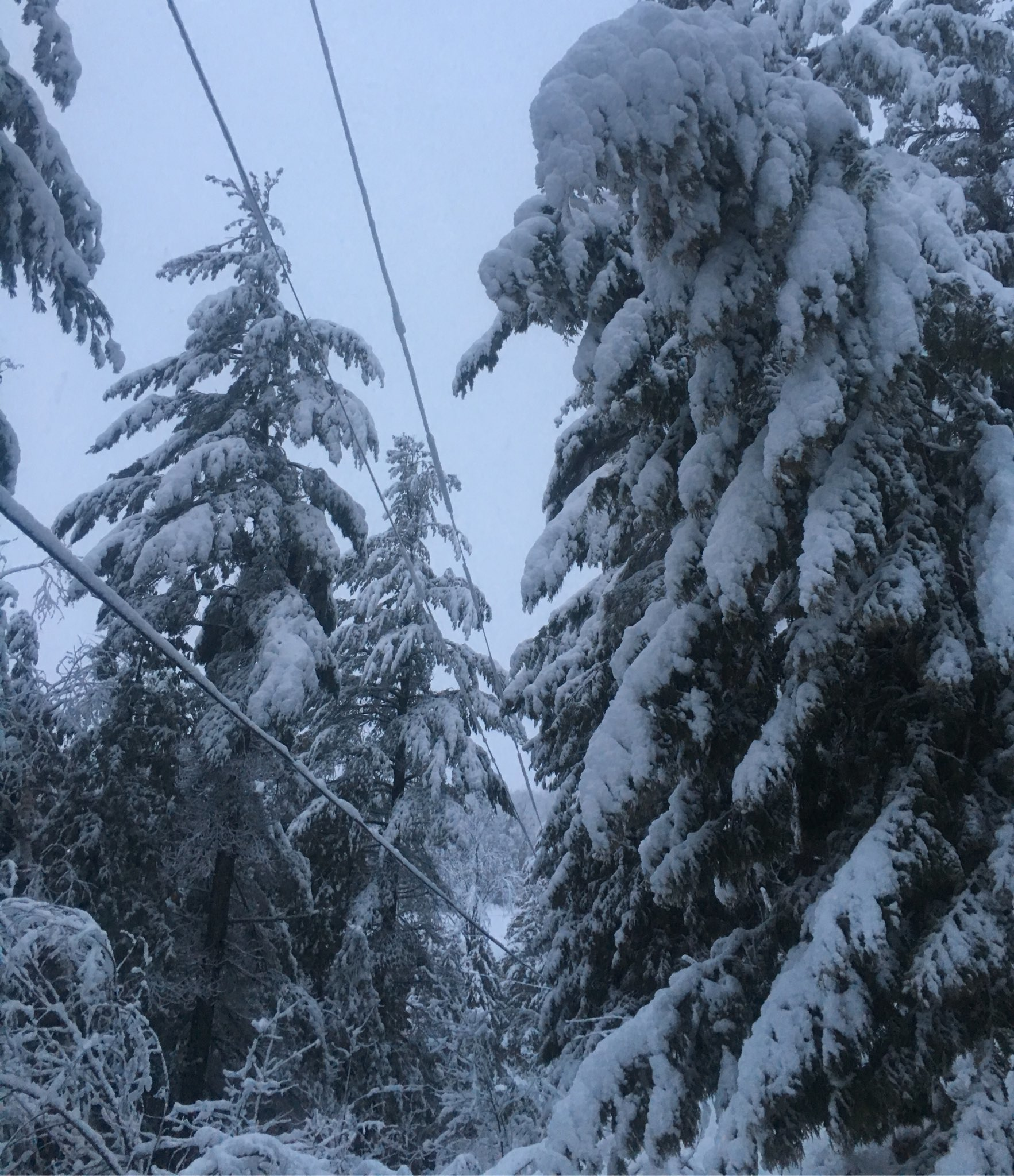 snow near powerlines