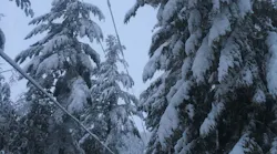 snow near powerlines
