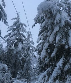 snow near powerlines snow near powerlines