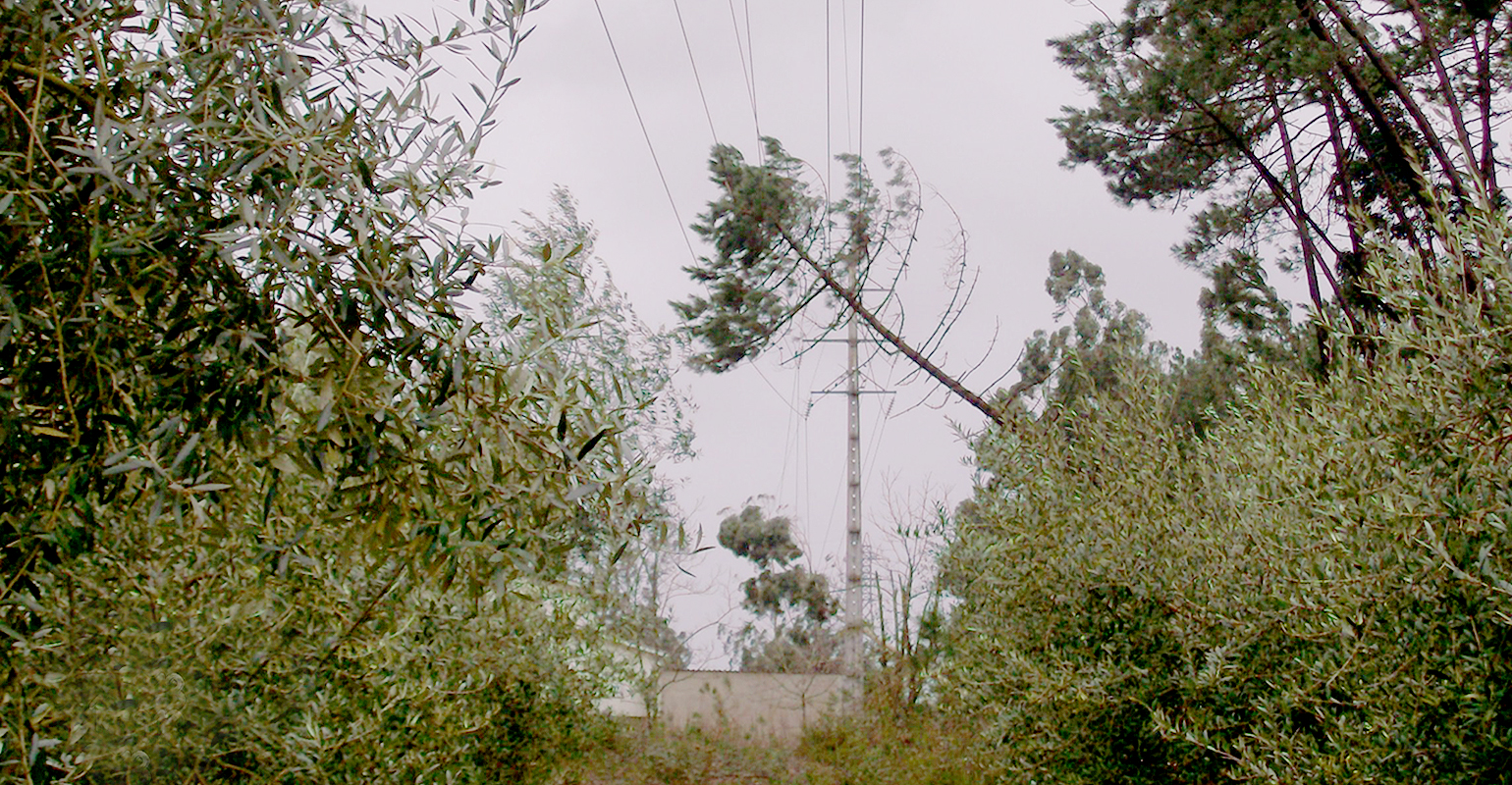 Energias de Portugal Distribui&ccedil;&atilde;o, FloraSul, meteorological events