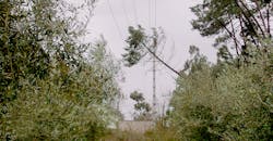 Energias de Portugal Distribuição, FloraSul, meteorological events Energias de Portugal Distribuição, FloraSul, meteorological events