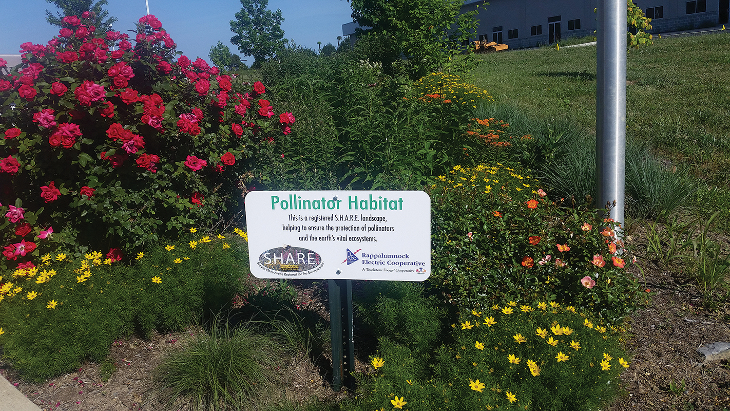 Rappahannock Electric Cooperative, cooperative program