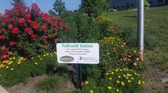 REC has established pollinator gardens, such as this one at its service center in Front Royal, Virginia, for educational purposes and to serve as &ldquo;pit stops&rdquo; for annual monarch butterfly migration.