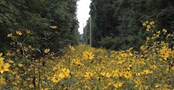 Central Virginia Electric Cooperative, herbicide application Central Virginia Electric Cooperative, herbicide application