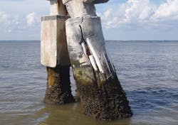 Dominion Energy, foundation upgrade Dominion Energy, foundation upgrade