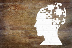 brain puzzle brain puzzle
