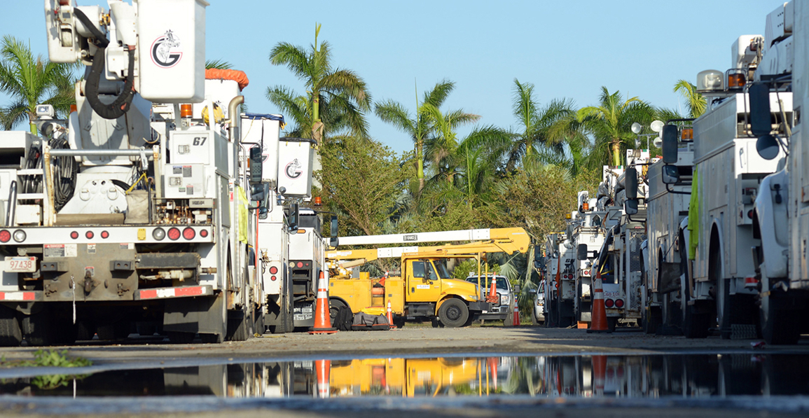 workforce in florida