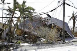 Power lines after storm Power lines after storm