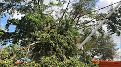 Tdworld 10493 Asplundh Tree Irma 1