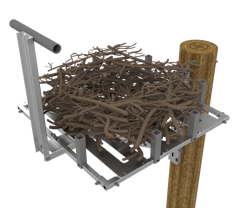 raptor nest raptor nest