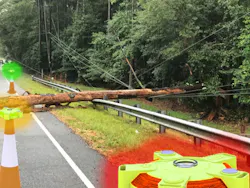 Tree Down with Lookout Tree Down with Lookout
