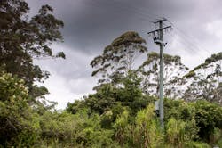 queensland queensland