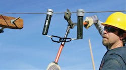 Tail Tamer Tail Tamer