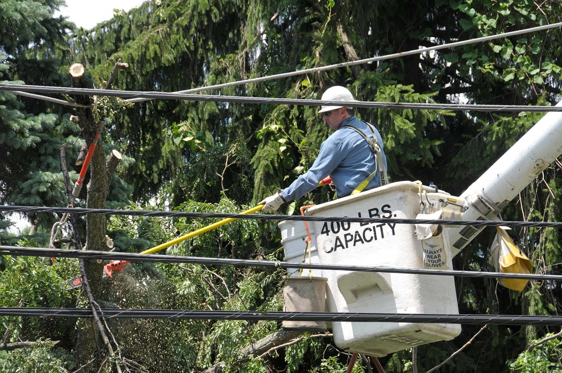 PECO worker trimming trees