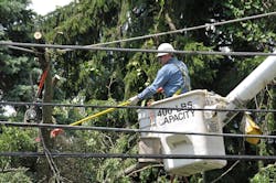 PECO worker trimming trees PECO worker trimming trees