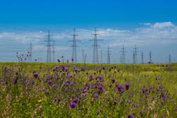 transmission lines with flowers transmission lines with flowers