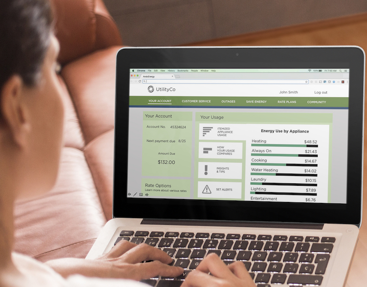 customer using analyzer