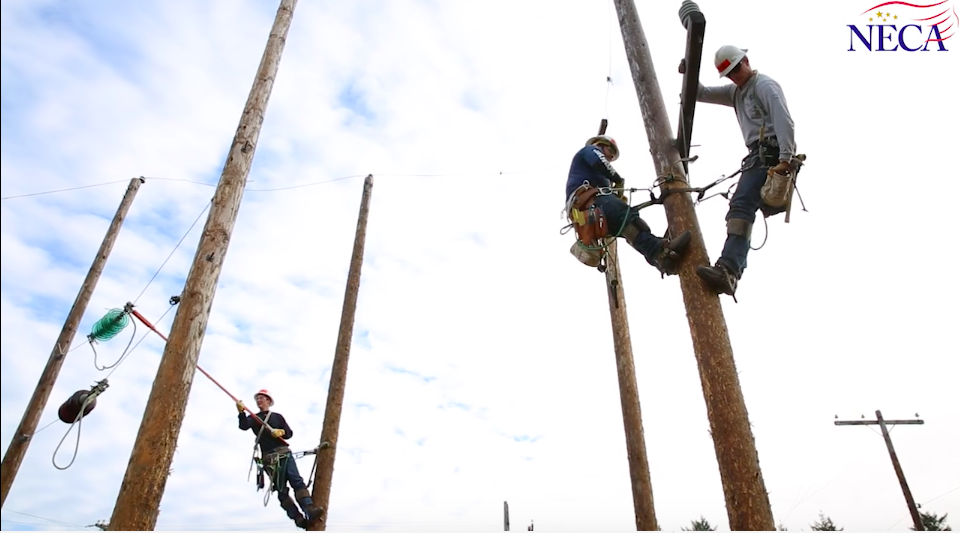 NECA Video Screen Shot