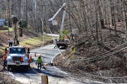 NovecCrews NovecCrews