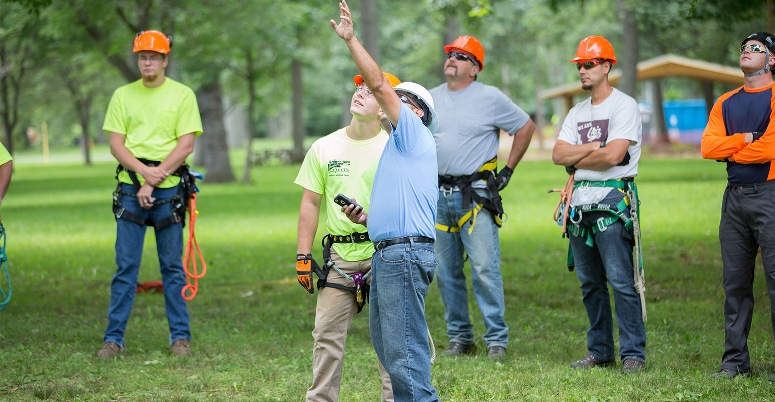 Caltrans Division of Maintenance, training, tree workers