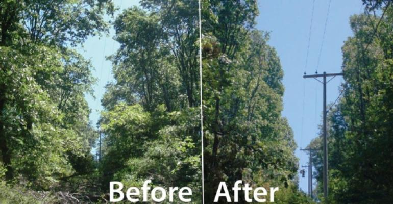 vegetation management