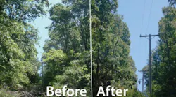 vegetation management