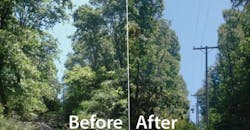 vegetation management vegetation management