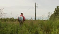 Vegetation manager Vegetation manager