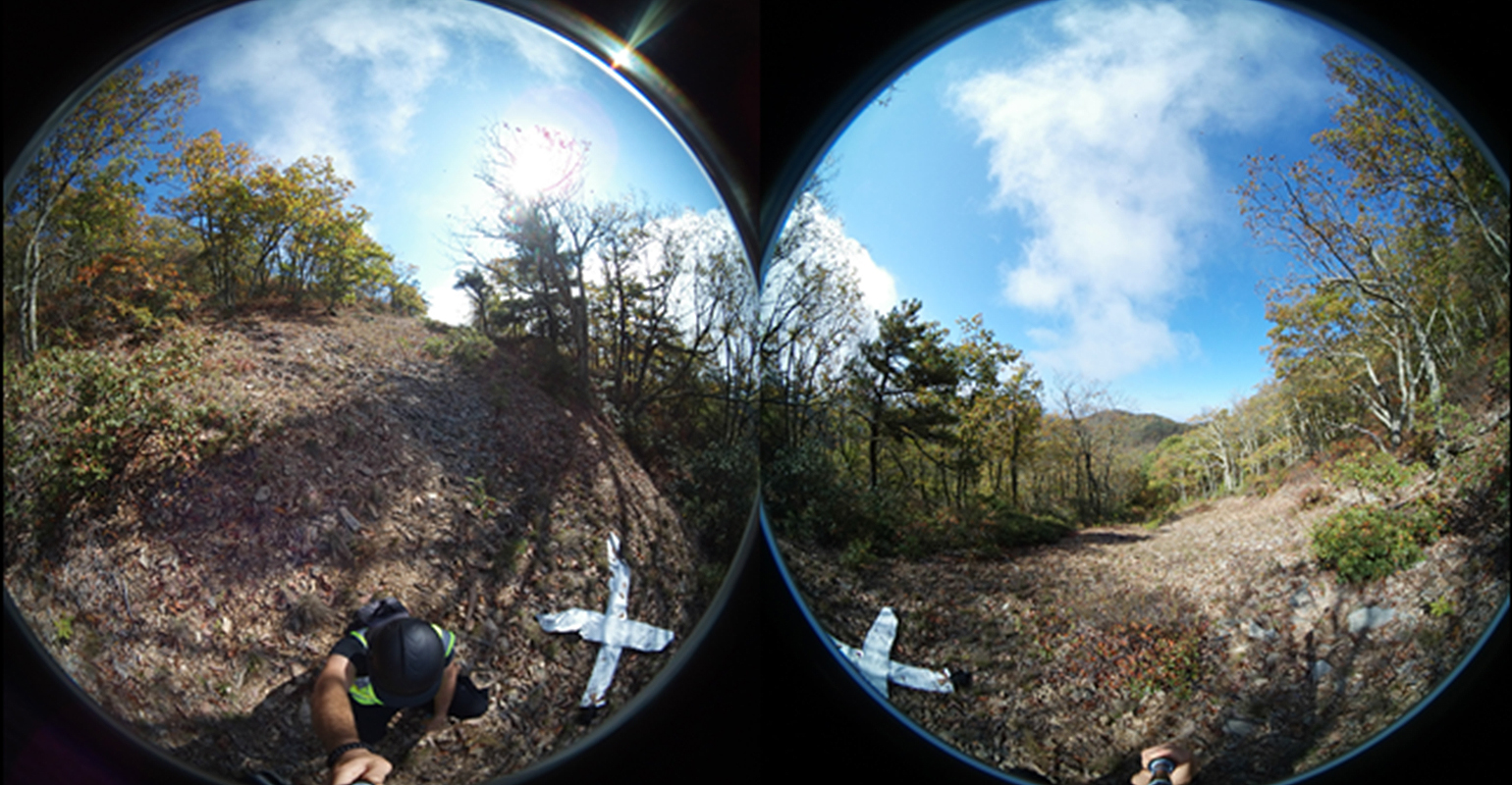 UAA, vegetation management, virtual reality