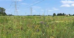 FirstEnergy&rsquo;s enhanced CCC herbicide specification provides metrics that support its commitment to achieving sustainable, compatible, early successional plant communities by ensuring the products necessary to support that commitment are being used correctly.