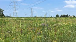 FirstEnergy&rsquo;s enhanced CCC herbicide specification provides metrics that support its commitment to achieving sustainable, compatible, early successional plant communities by ensuring the products necessary to support that commitment are being used correctly.
