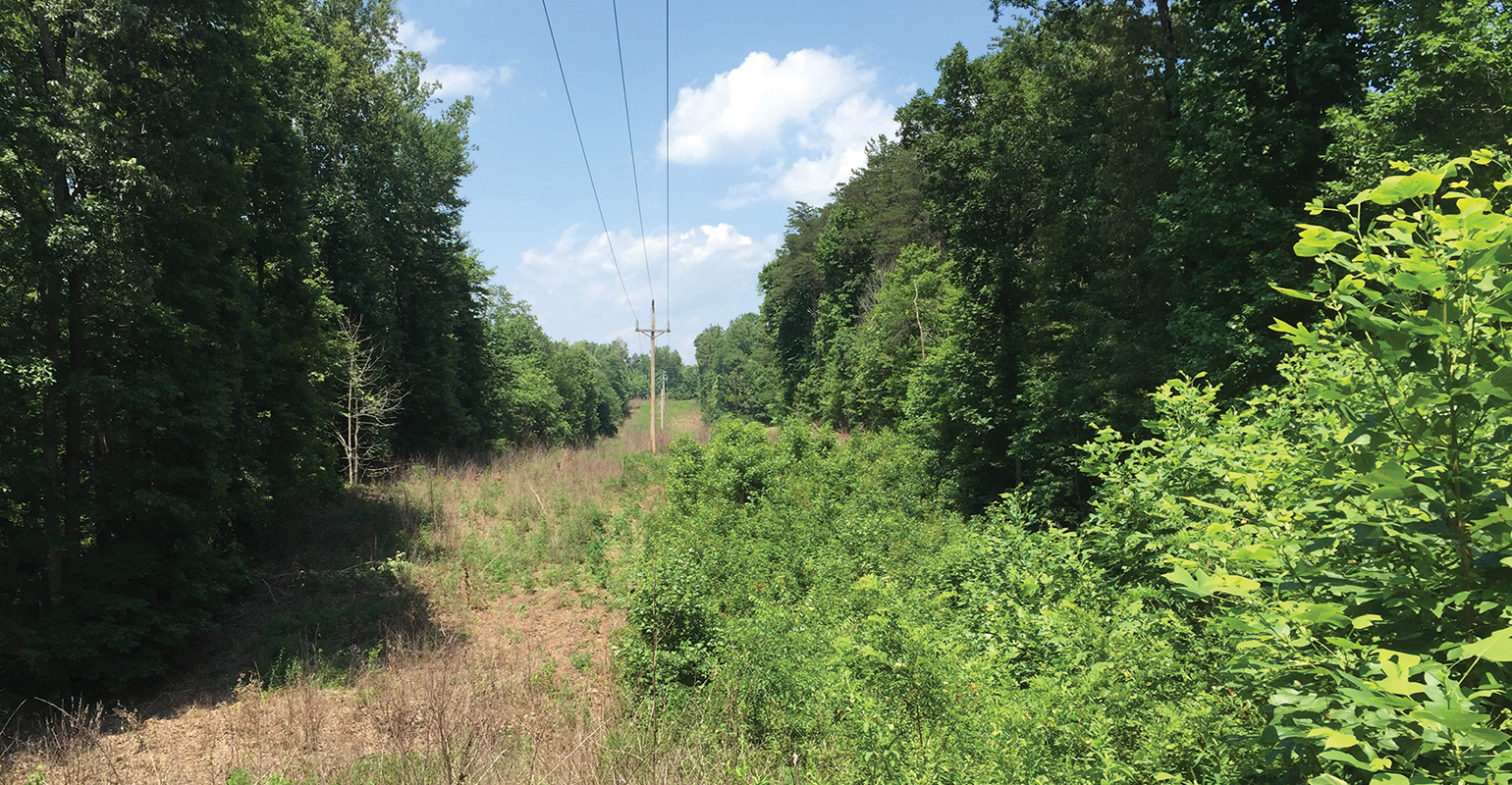 UAA, vegetation management, Dow AgroSciences, Santee Cooper