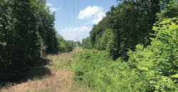 UAA, vegetation management, Dow AgroSciences, Santee Cooper UAA, vegetation management, Dow AgroSciences, Santee Cooper