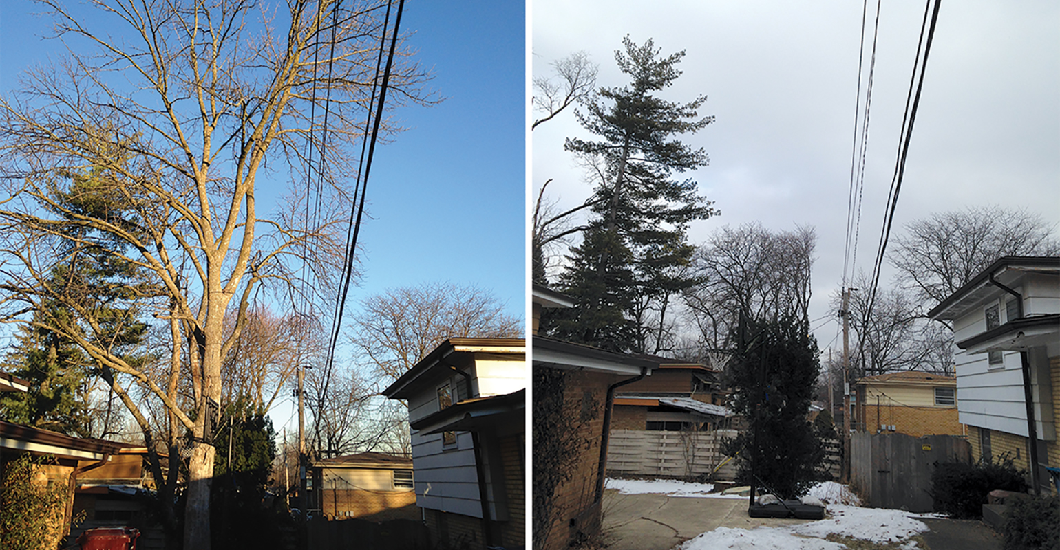 UAA, vegetation management; targeted trimming; Commonwealth Edison