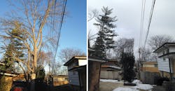 UAA, vegetation management; targeted trimming; Commonwealth Edison UAA, vegetation management; targeted trimming; Commonwealth Edison