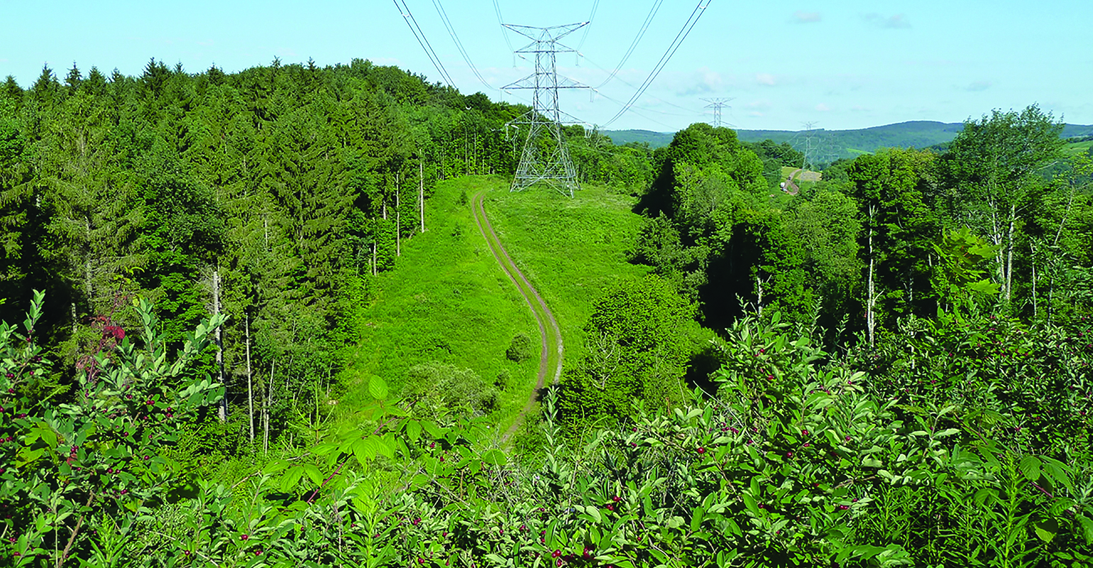 UAA; vegetation maintenance; BioCompliance Consulting Inc.; SUNY ESF