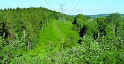 UAA; vegetation maintenance; BioCompliance Consulting Inc.; SUNY ESF UAA; vegetation maintenance; BioCompliance Consulting Inc.; SUNY ESF