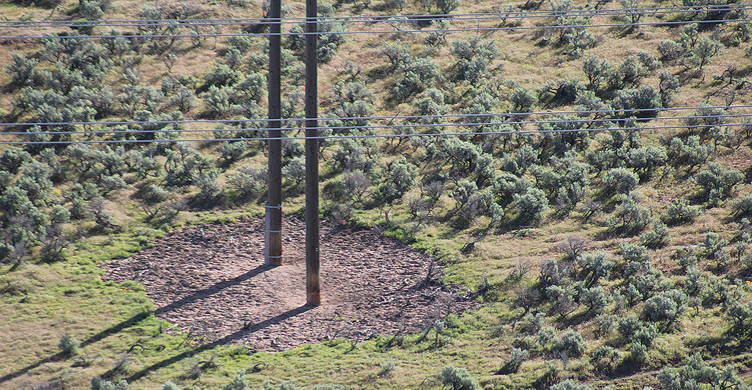 UAA, SSI Maxim Co. Inc., granular herbicides