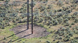 The defined, defensible space around the poles was created in a wildfire-prone area through herbicide application.