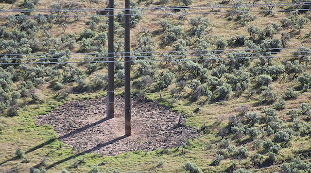 The defined, defensible space around the poles was created in a wildfire-prone area through herbicide application.