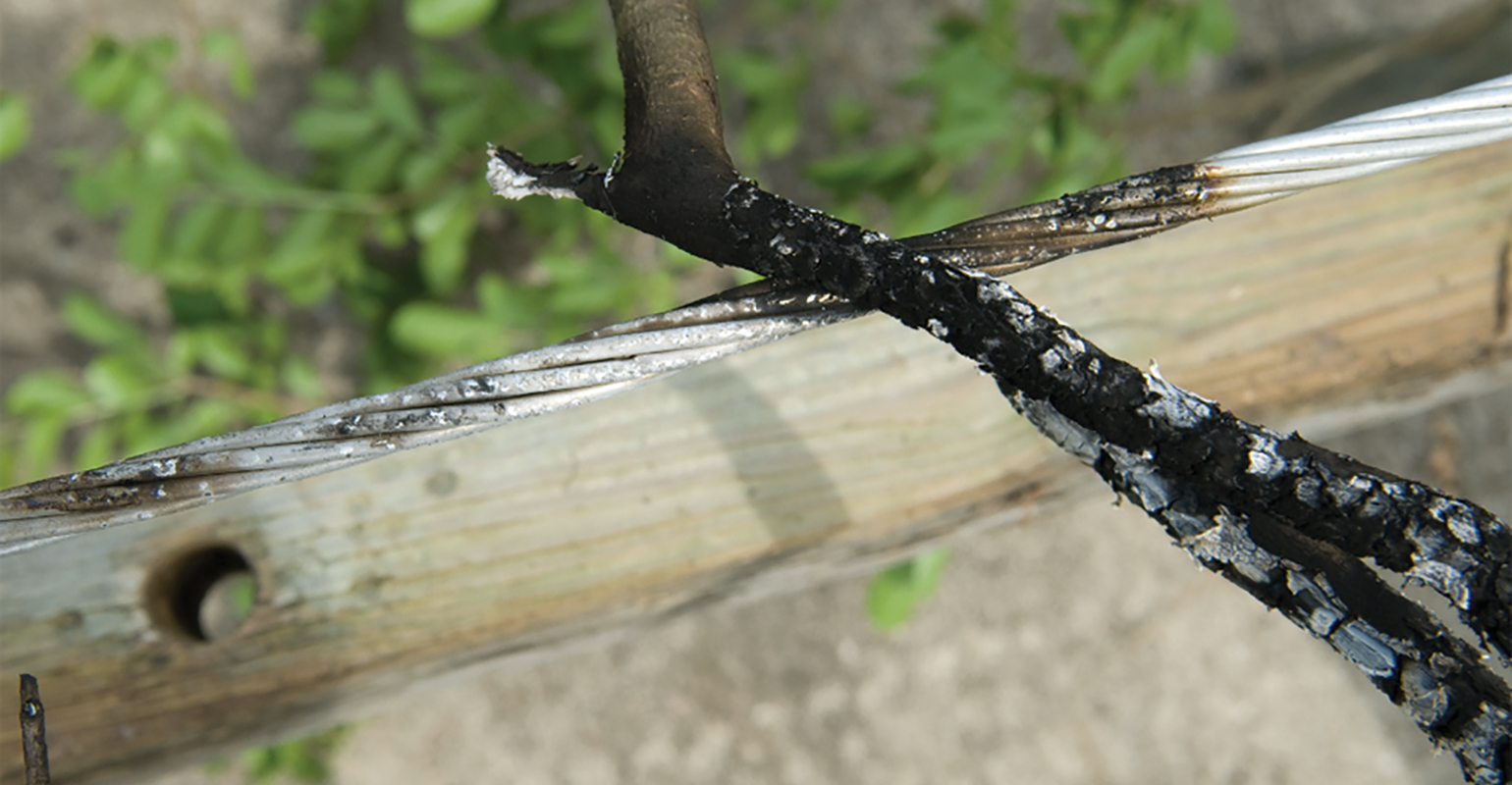 Pedernales Electric Cooperative, Texas A&M University, reducing wildfire risk, Fault Anticipation