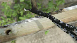 Pedernales Electric Cooperative, Texas A&M University, reducing wildfire risk, Fault Anticipation