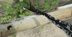 Pedernales Electric Cooperative, Texas A&M University, reducing wildfire risk, Fault Anticipation Pedernales Electric Cooperative, Texas A&M University, reducing wildfire risk, Fault Anticipation