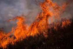 canyon fire
