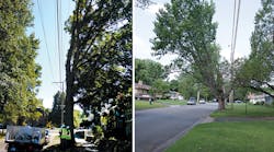Extending pruning cycles reduces site intrusions into neighborhoods like this, leading to happier customers.